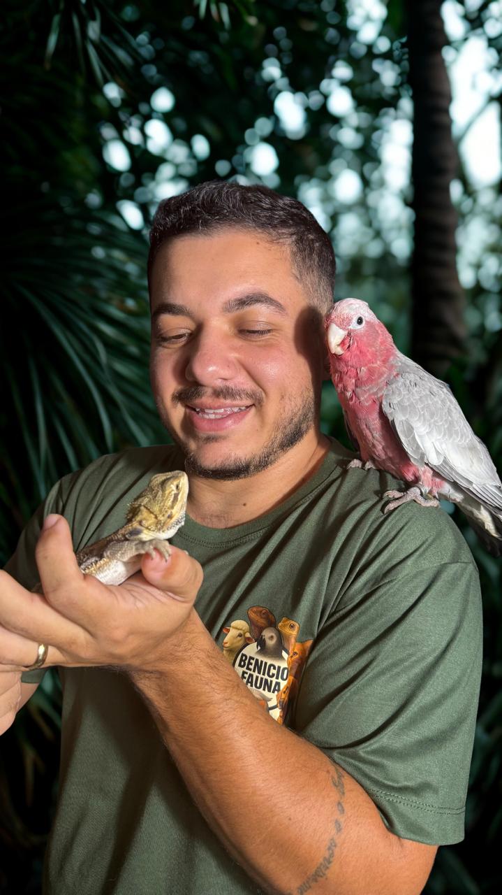 Criadouro Talismã - instalações e aves